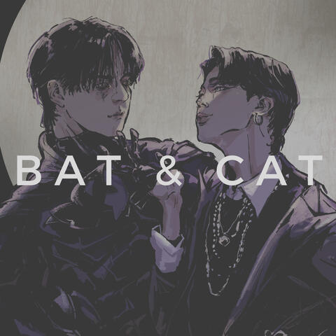 bat and cat