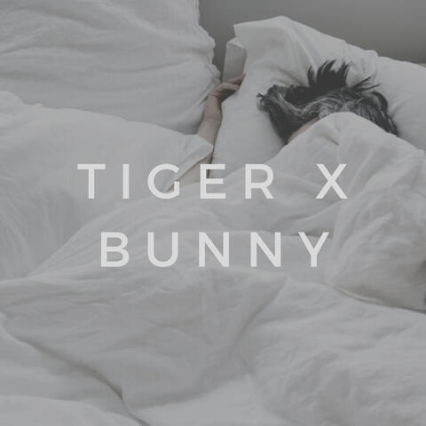 tiger x bunny